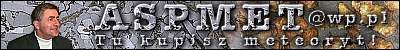 Banner wykonany przez Szymona Kozowskiego